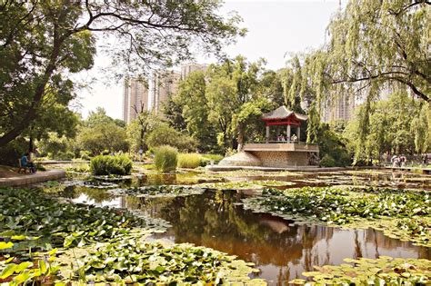 西安哪些公園景色好?談論公園與文化之聯繫